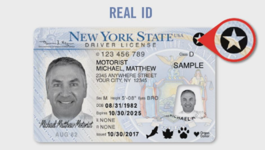 Close-up of a U.S. REAL ID compliant driver's license showing the gold star symbol in the corner. Essential for domestic flight boarding after May 7, 2025.